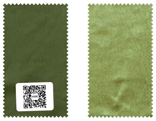Color Code 9339 #339