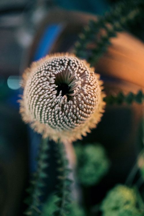 Blue-Green Sequin Gleam — Rectangular Tablescape