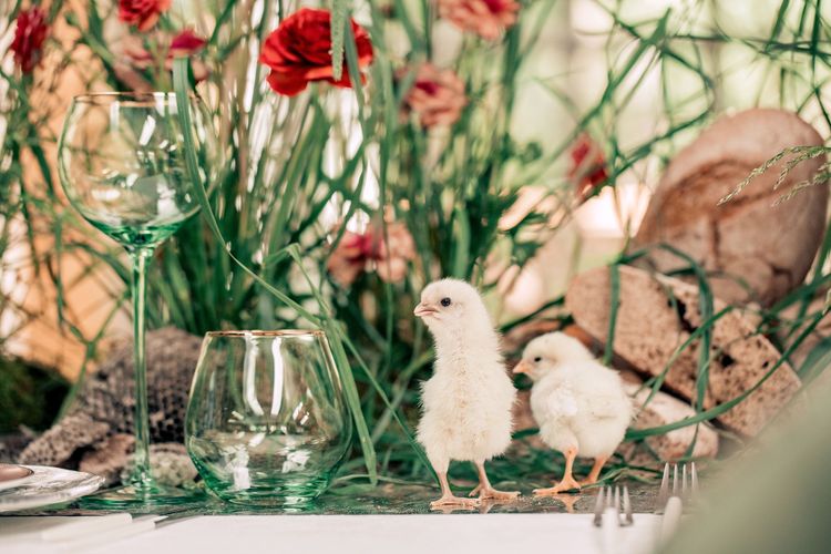 Farm-to-Table Elegance — Rectangular, Luxury Touches