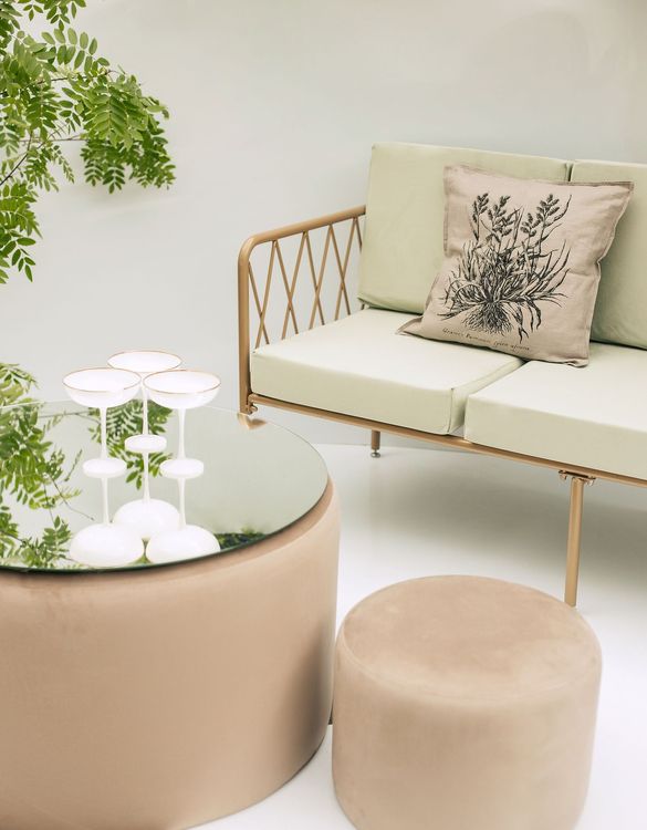 Fern and chocolate lounge setup