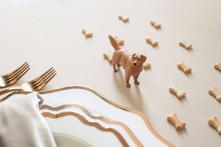 Ivory pet-friendly table setting
