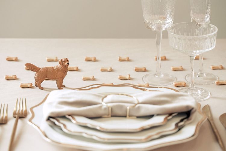 Ivory pet-friendly table setting