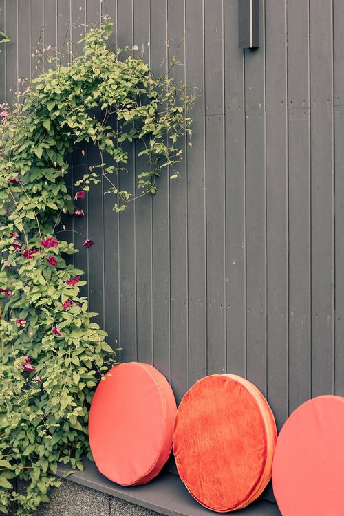 Outdoor picnic setup
