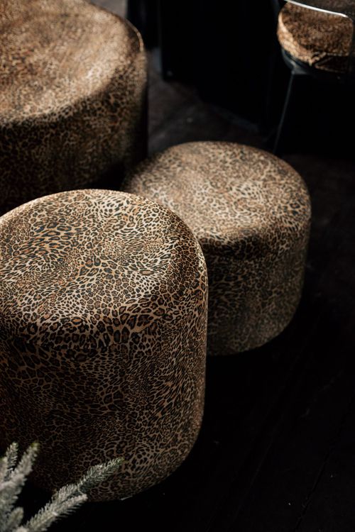 Round Safari Dinner — Black Velvet + Leopard Prints