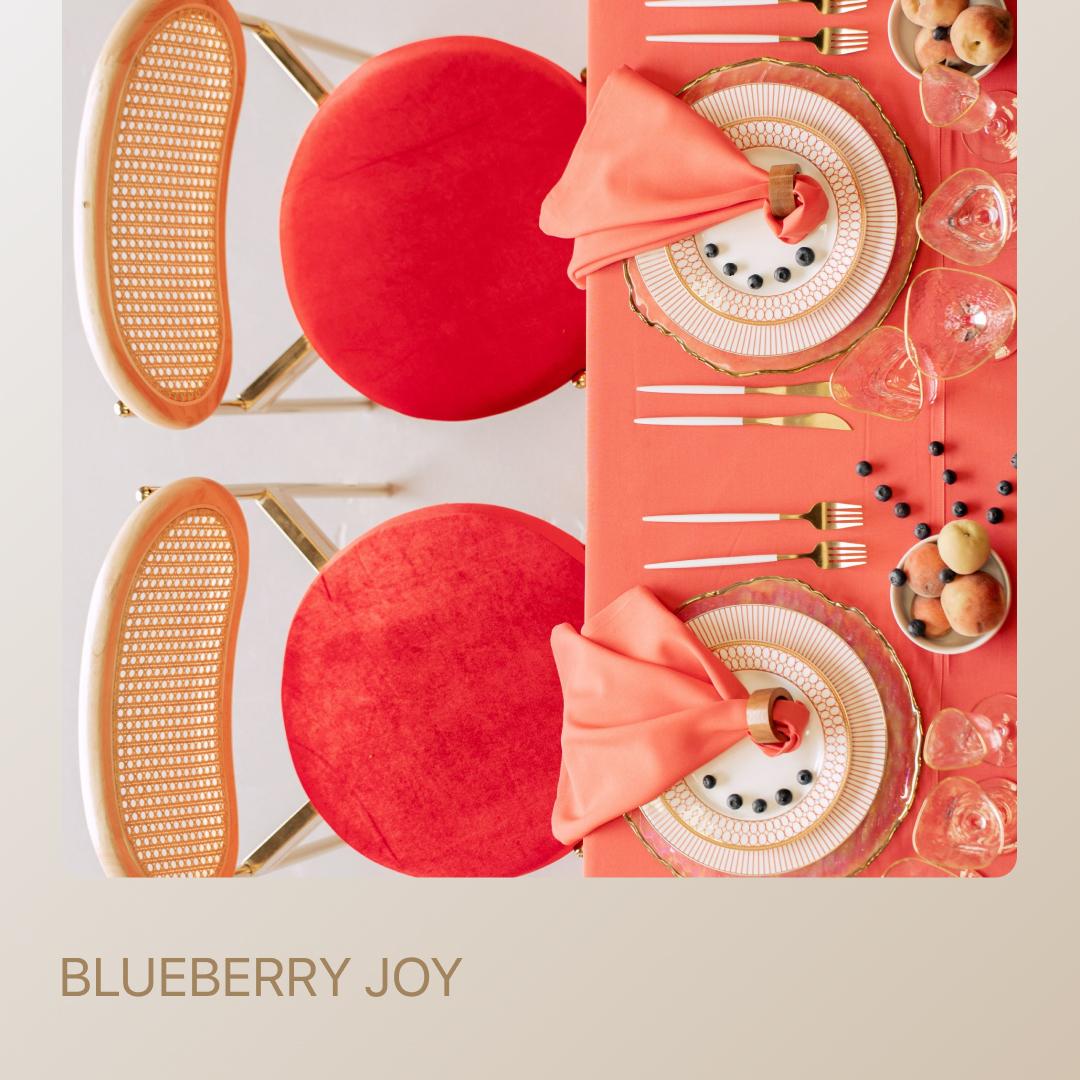 BLUEBERRY JOY package — for 2 guests