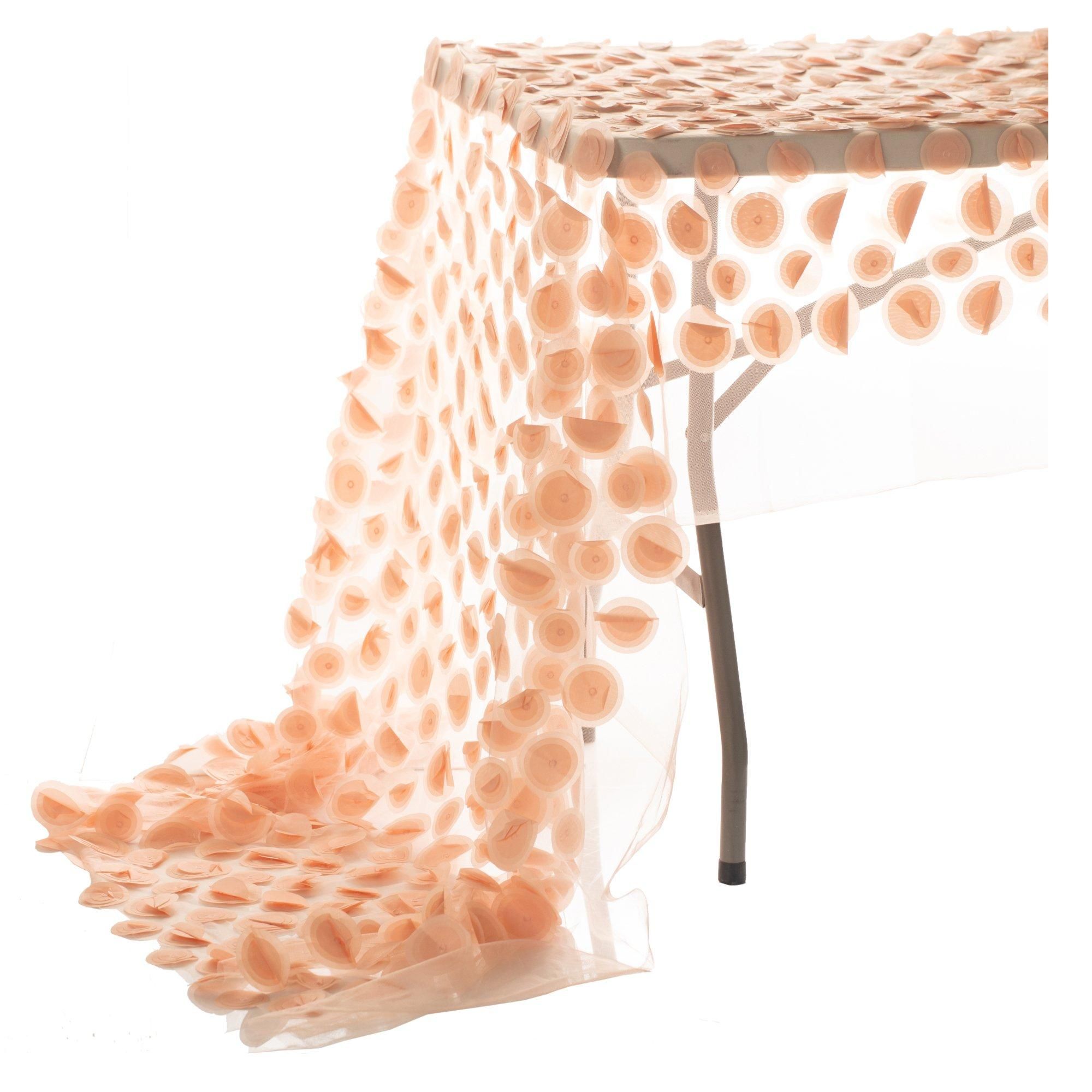 KIPNIS nude layout #813