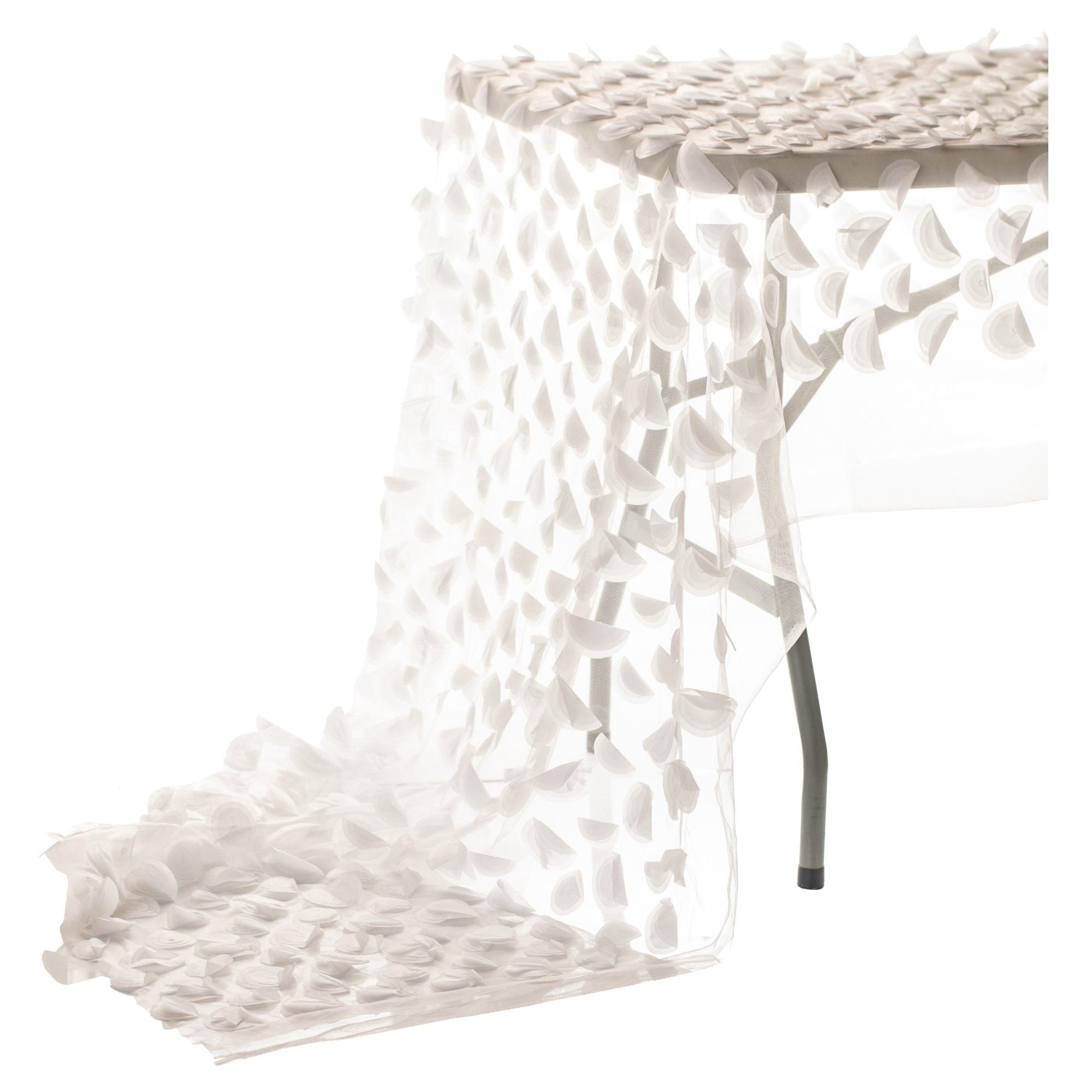 KIPNIS white layout #812